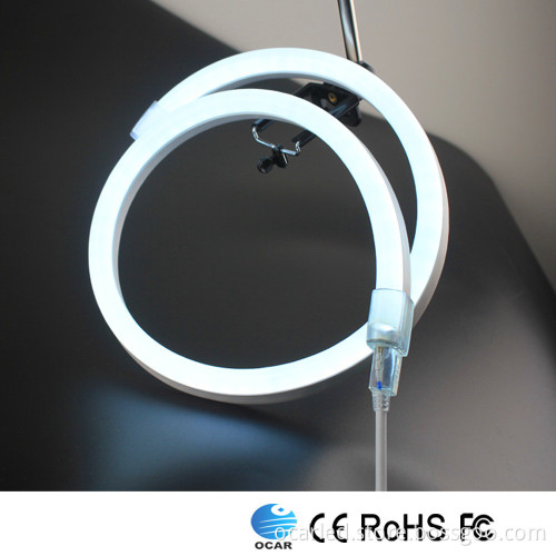 2016 Hot New product from China Supplier OCAR LED Rope Light with UL Listed